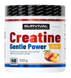 Creatine Gentle Power - 320 g