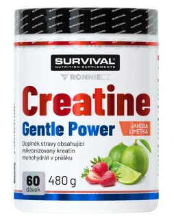 Creatine Gentle Power - 480 g