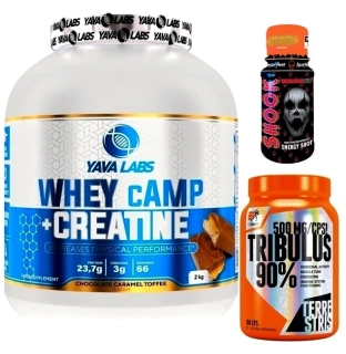 Protein Whey cAMP + Creatine - 2000 g + Tribulus 90 % Terrestris - 100 cps