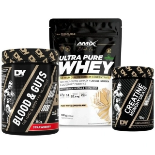 Blood & Guts - 380 g + Ultra Pure Whey Protein - 500 g